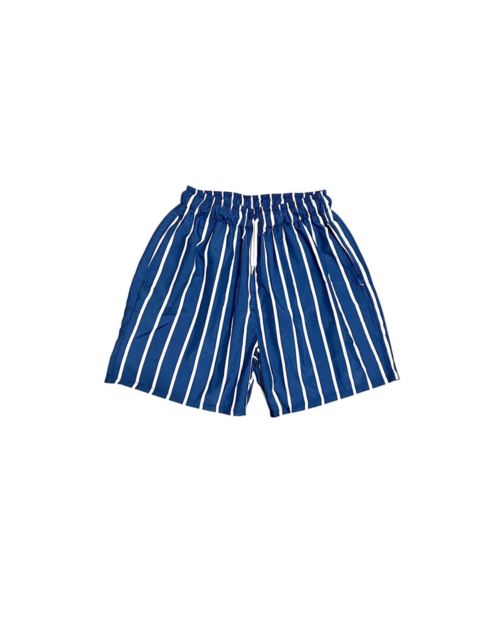 Navy Striped Swim Shorts