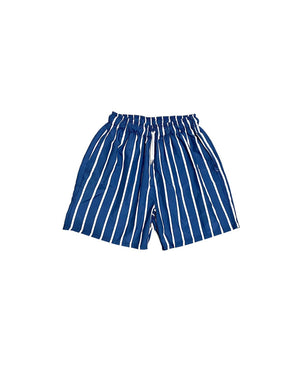 Navy Striped Swim Shorts